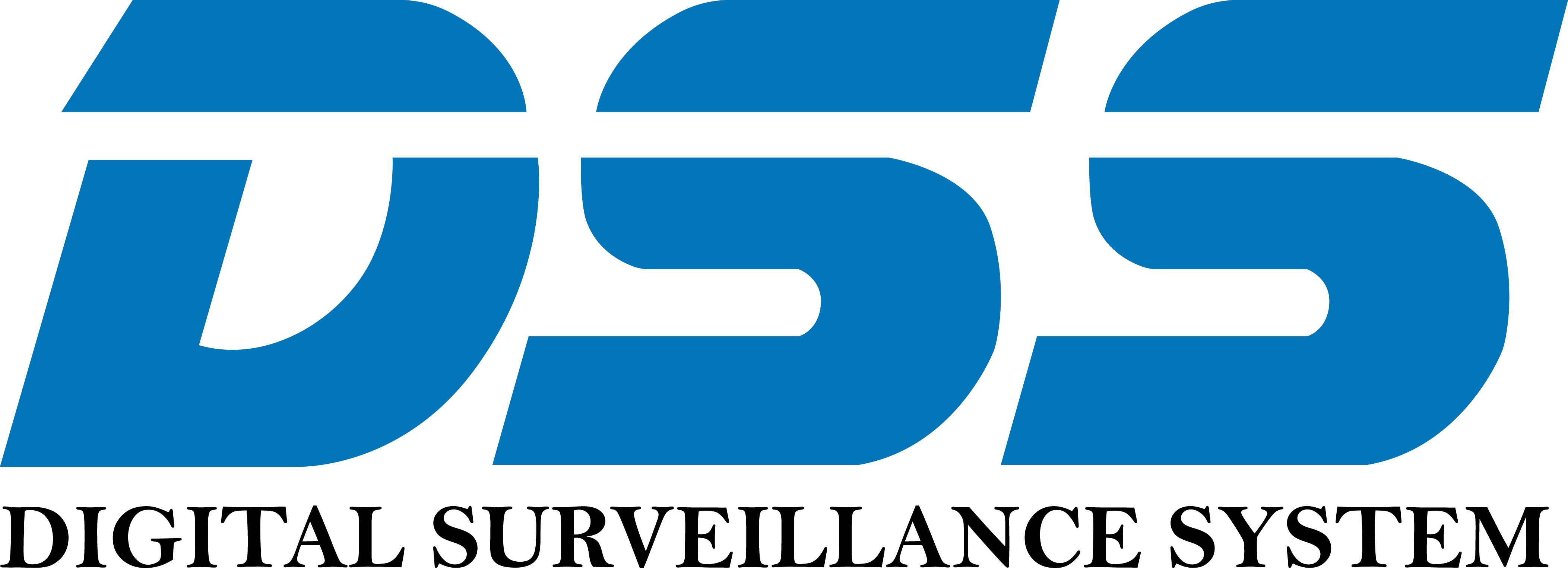 Công ty CP Công Nghệ DSS miền Nam